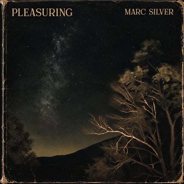 Cover art for Pleasuring
